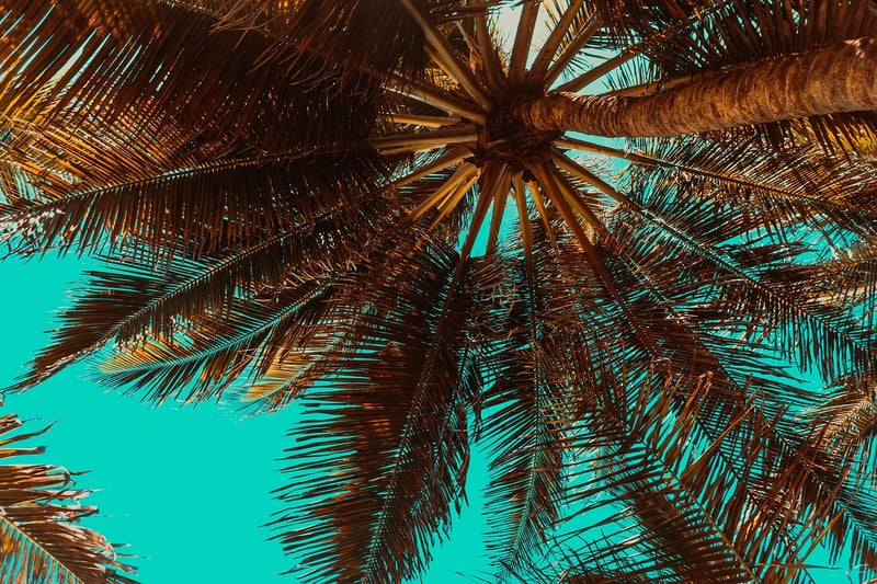 Maldives Seaside Resort